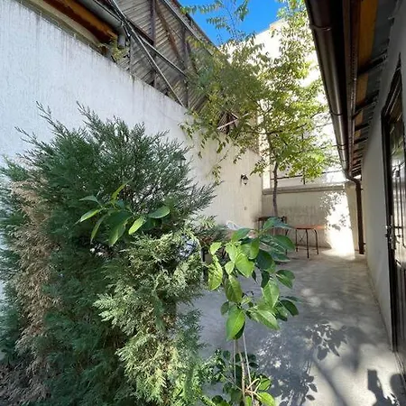 Apartment Victoriei Light&comfort *